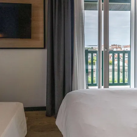 Ibis Saint-jean-de-luz 씨부르