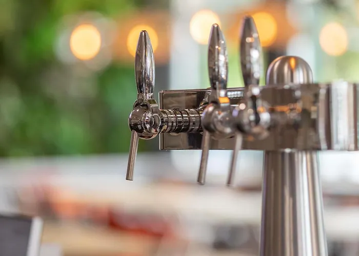 מלון Ibis Saint-jean-de-luz סיבור