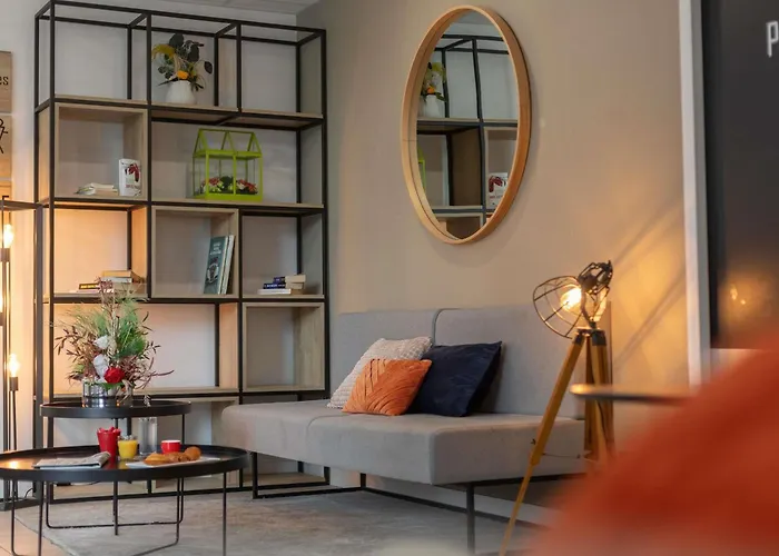 Ibis Saint-jean-de-luz סיבור