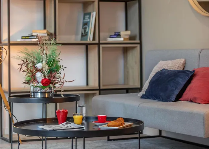 Ibis Saint-jean-de-luz סיבור