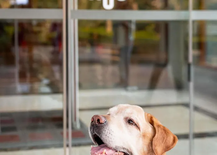 מלון Ibis Saint-jean-de-luz 3*