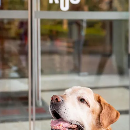 Ibis Saint-jean-de-luz 3* Ciboure