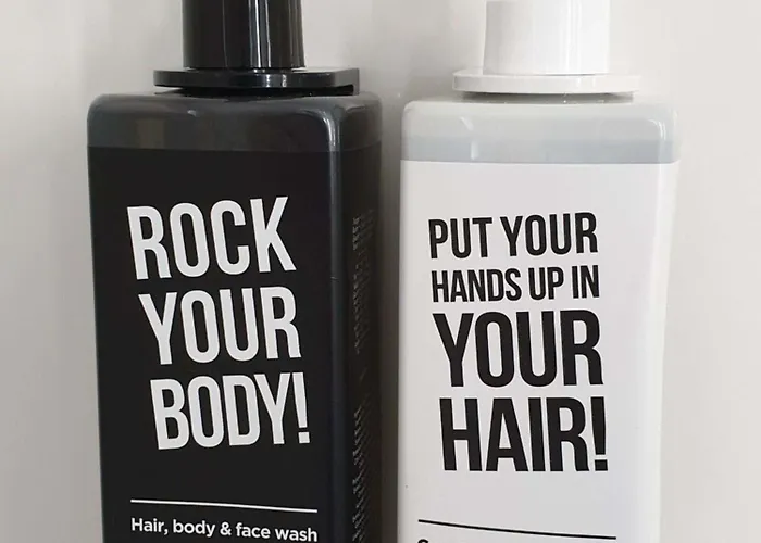 Ibis Saint-jean-de-luz